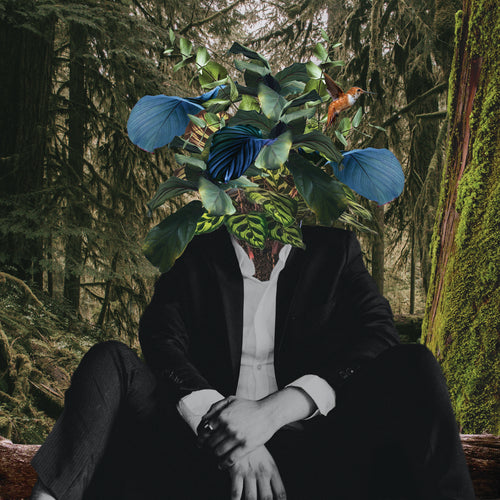 Surreal art. Man wearing black suit white shirt, sitting in an ancient grand forest, his head is a bloom of green leaves and foliage